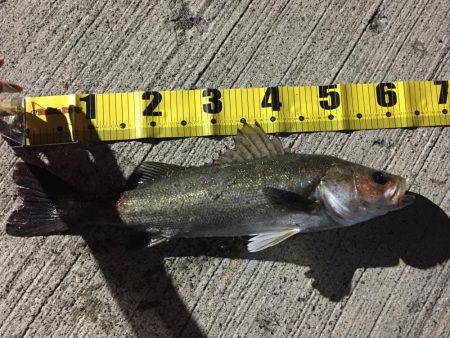 谷口くんやりましたー！