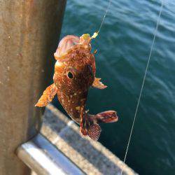 もったいない！