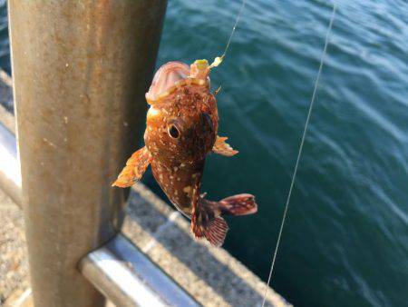 もったいない！