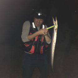 大分 アジ 70匹 ハモ1匹