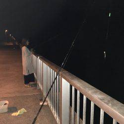 今年初のドラゴン