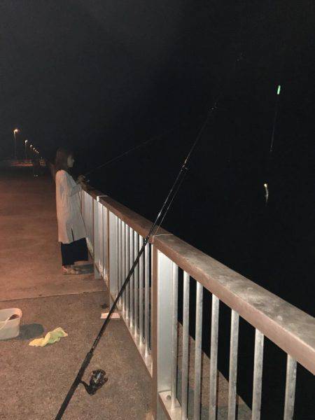 今年初のドラゴン