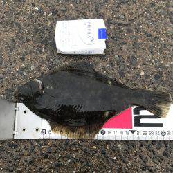 そろそろアジの季節かな！！