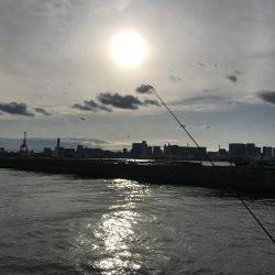 フッコ釣れました！