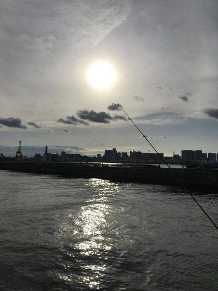 フッコ釣れました！