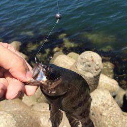 のんびり穴釣り