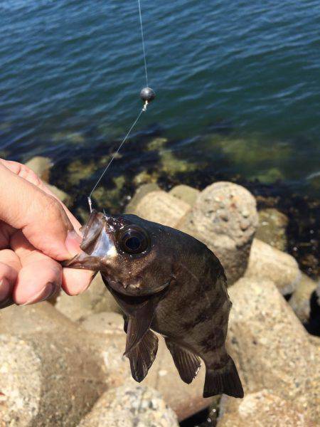 のんびり穴釣り