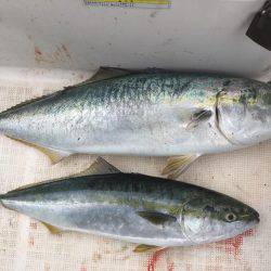 ブリと言いたい！