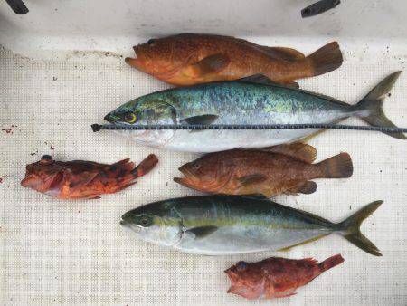 今日はジグ反応ほぼなし！鯛ラバ大活躍！