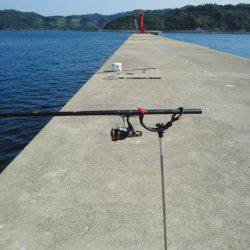 チヌ不発でした・・