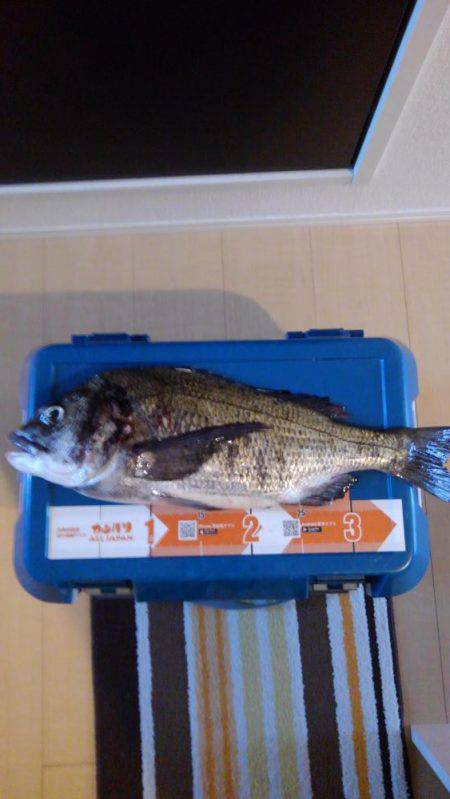 フカセ釣り初挑戦