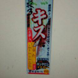 今年初西脇漁港キス釣り