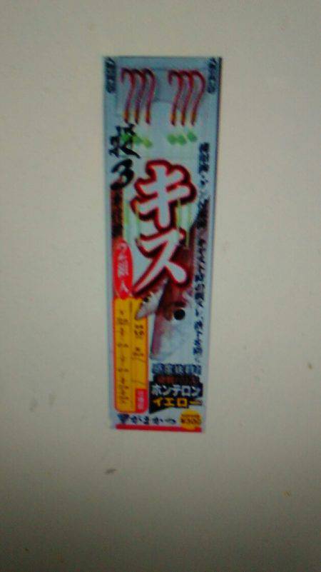 今年初西脇漁港キス釣り