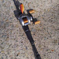 シーバスday ゲーム