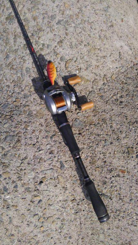 シーバスday ゲーム