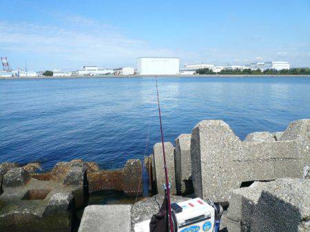 久々に近場の本荘、二見でキス狙い