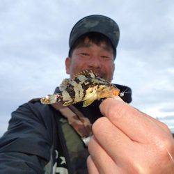 スーパーライトゲーム