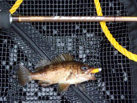 超ライトフィッシュゲーム