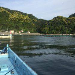 カセ釣りin串本