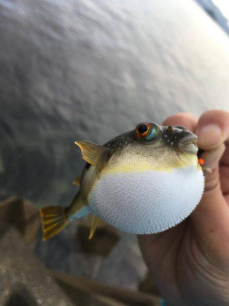 さぐるぜ!穴釣り&投げ釣り