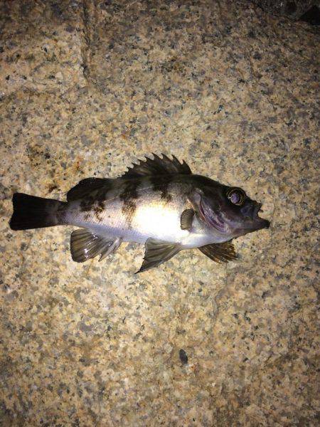 ピリピリ気持ち〜