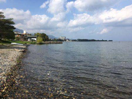 湖西のホンモロコ&コアユ釣り