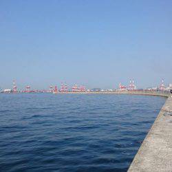 鰤狙いに・・・