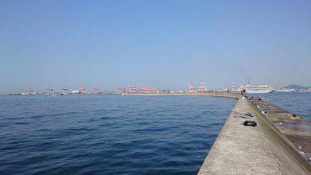 鰤狙いに・・・