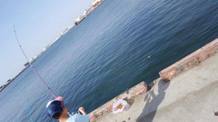 子供とサビキ釣り♪