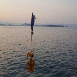 夢のキロUP捕獲作戦‼