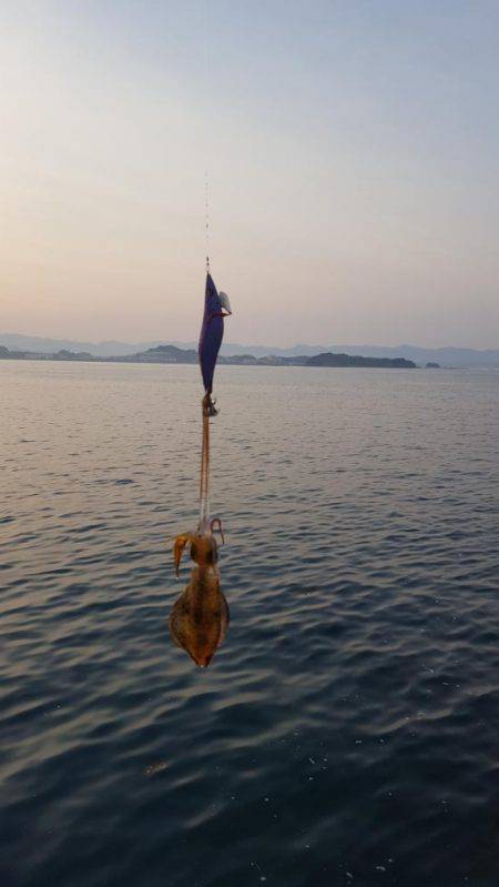 夢のキロUP捕獲作戦‼