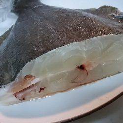 時季外れの、座布団カレイ