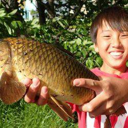 たまにはのんびりカープフィッシング