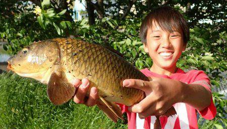 たまにはのんびりカープフィッシング