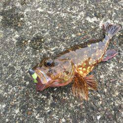 久々に海南方面へ