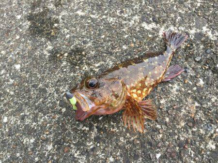 久々に海南方面へ