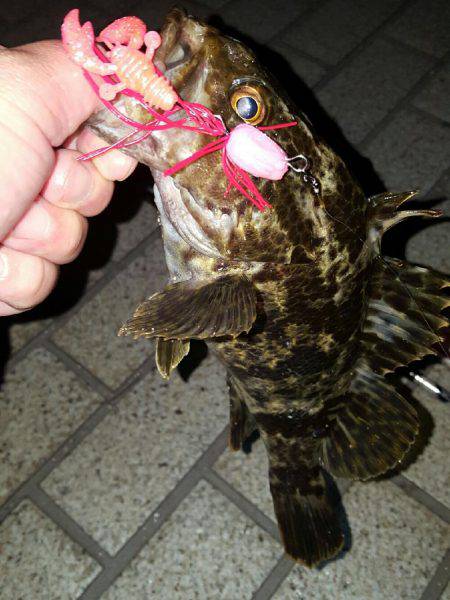 ロックロックこんばんわ‼