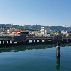 釣れましたよ！