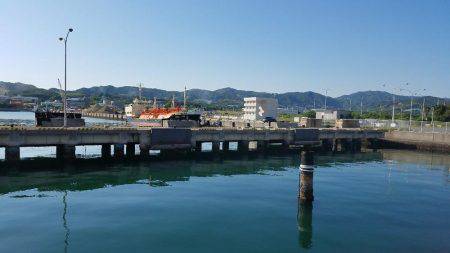 釣れましたよ！