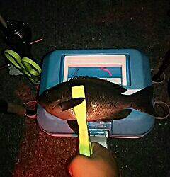 GWプレッシャー高いなぁ