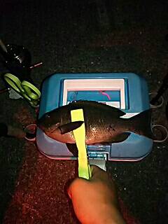 GWプレッシャー高いなぁ