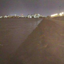 今夜もシーバス