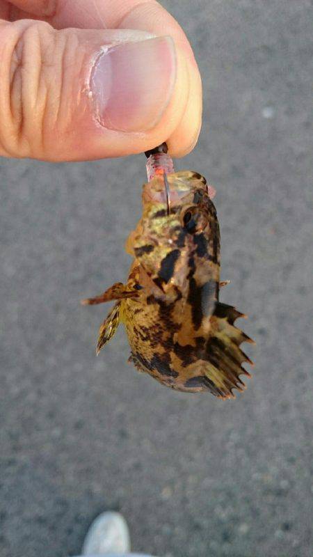 超ライトターゲット