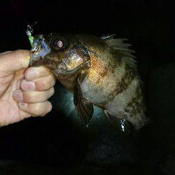 またまた淡路遠征