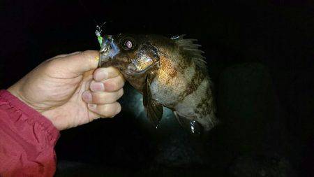 またまた淡路遠征