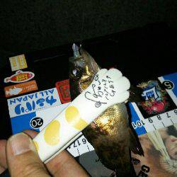 アジュール舞子で絶景を眺めながらのメバリング♪