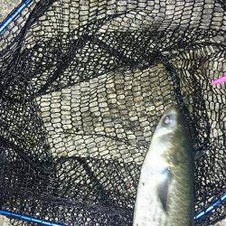 ボラれました…