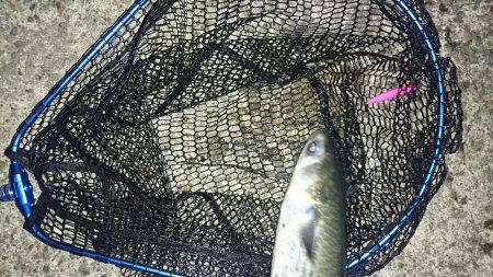 ボラれました…