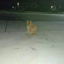 連休最終日に…