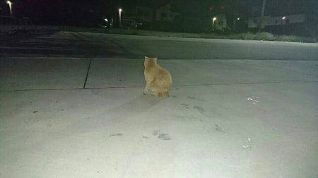 連休最終日に…